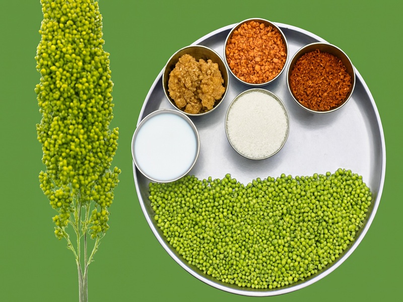 Guests enjoying a traditional Hurda Party at the Best Agro Resort in Shirdi – Agatya Agrotourism.