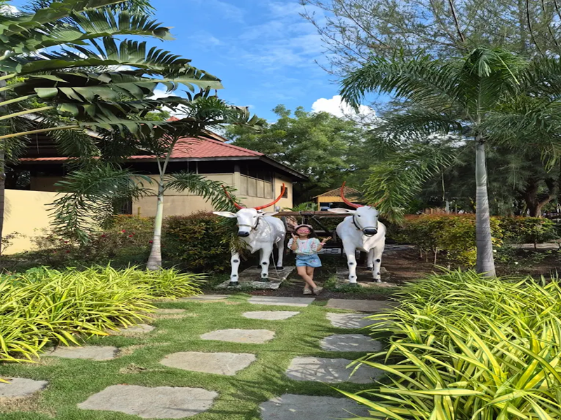 Families enjoying nature at the Best Agro Resort in Shirdi